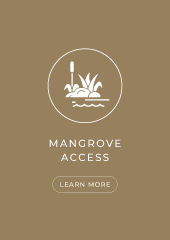 mangrove_access